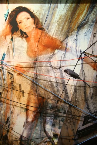 Looking for the Next Sophia exhibition